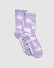 Load image into Gallery viewer, SS22W550902-52-P01.jpg
