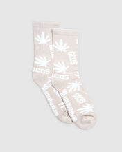 Load image into Gallery viewer, SS22W550902-66-P01.jpg
